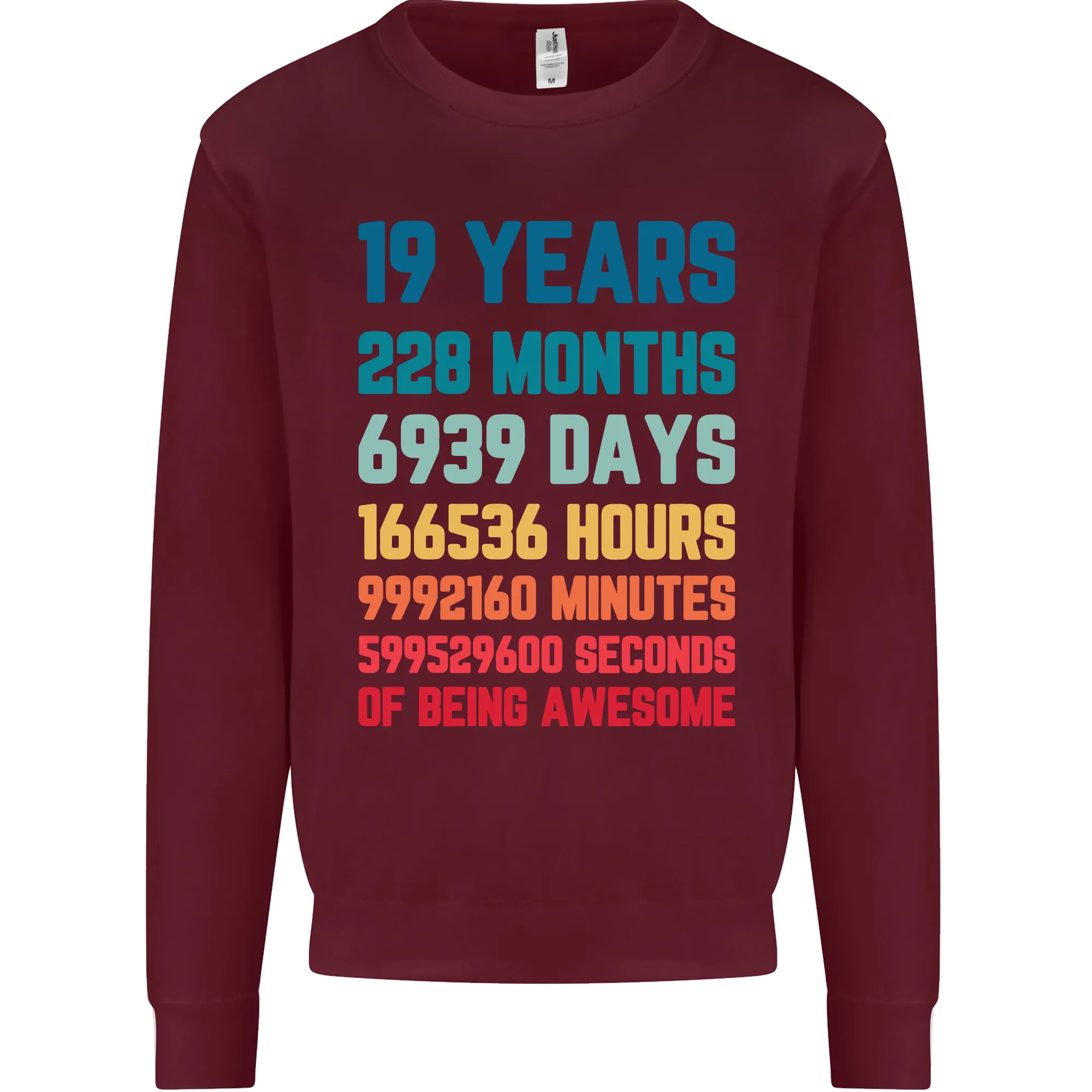 19th Birthday 19 Year Old Men's Birthday Celebration Sweatshirt Jumper
