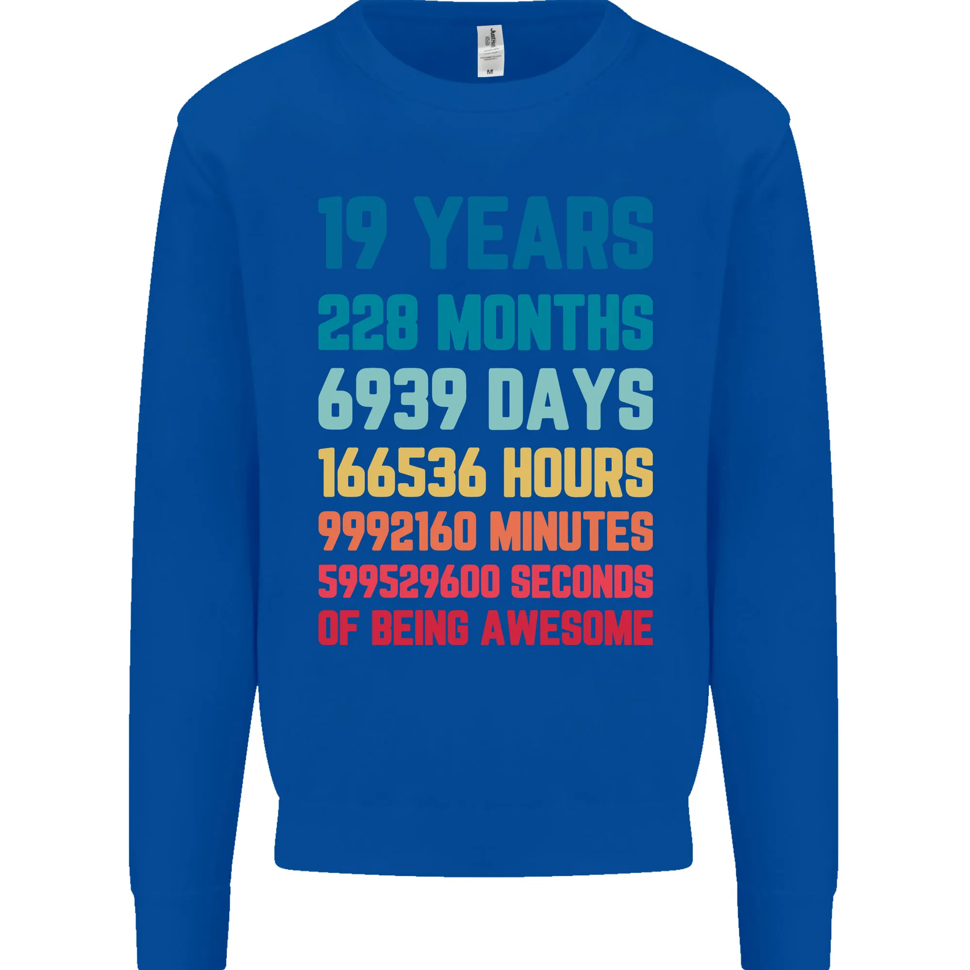 19th Birthday 19 Year Old Men's Birthday Celebration Sweatshirt Jumper
