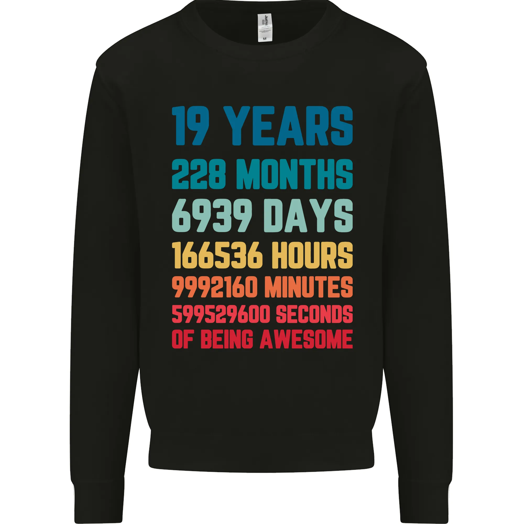 19th Birthday 19 Year Old Men's Birthday Celebration Sweatshirt Jumper