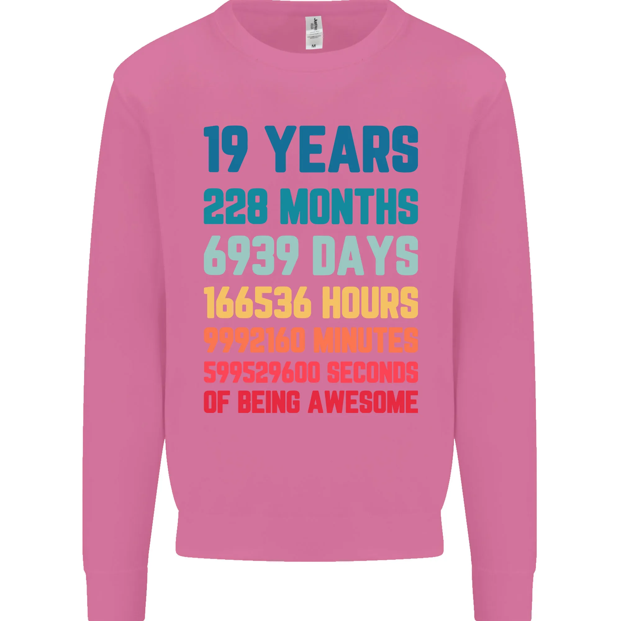 19th Birthday 19 Year Old Men's Birthday Celebration Sweatshirt Jumper
