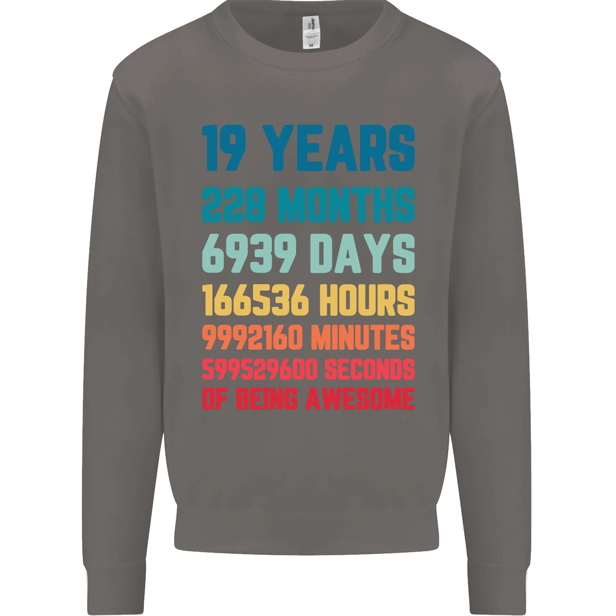 19th Birthday 19 Year Old Men's Birthday Celebration Sweatshirt Jumper