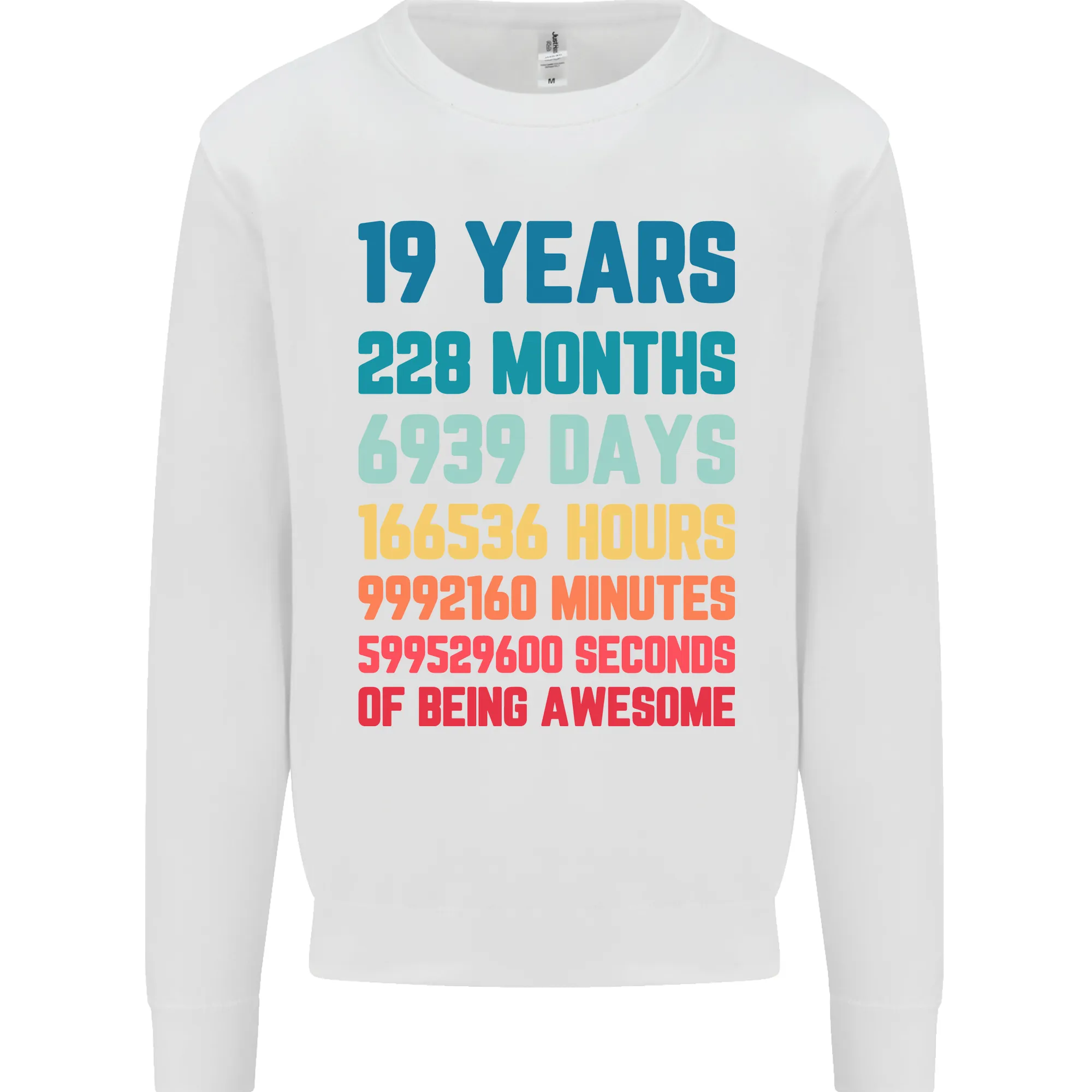 19th Birthday 19 Year Old Men's Birthday Celebration Sweatshirt Jumper