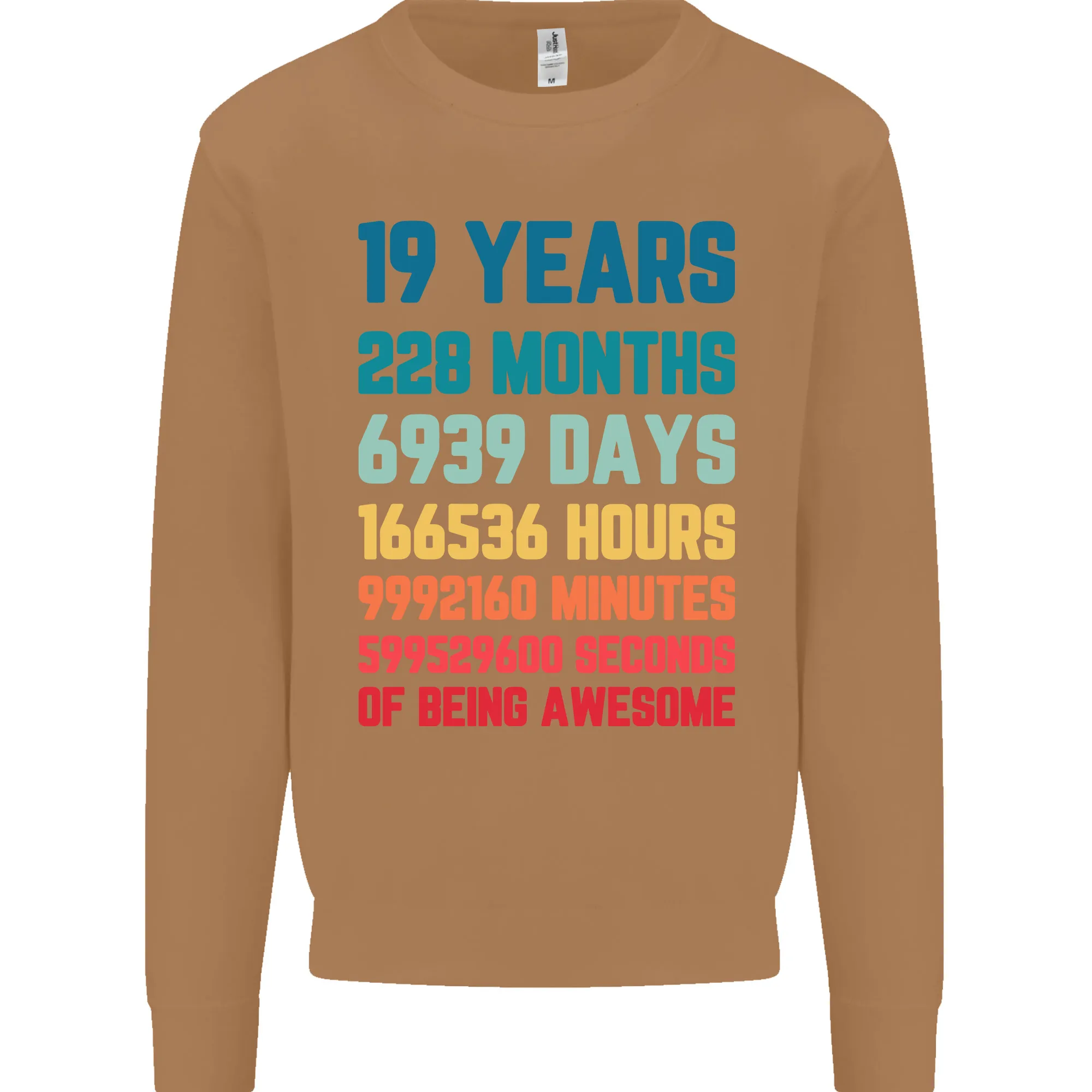 19th Birthday 19 Year Old Men's Birthday Celebration Sweatshirt Jumper