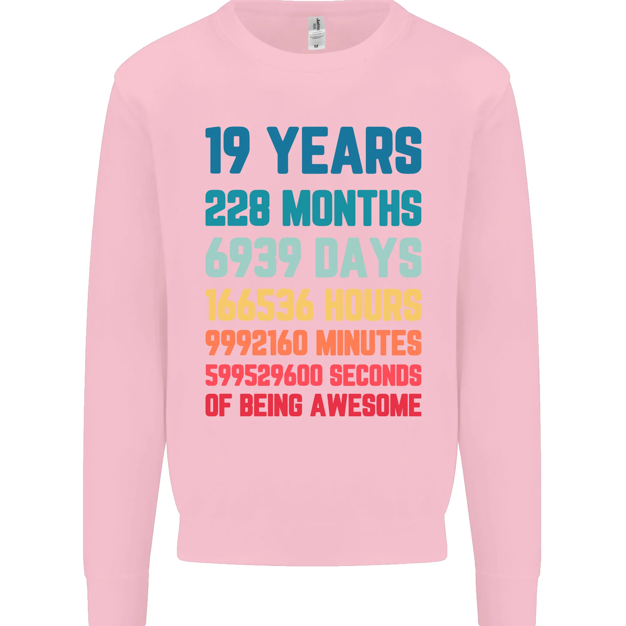 19th Birthday 19 Year Old Men's Birthday Celebration Sweatshirt Jumper