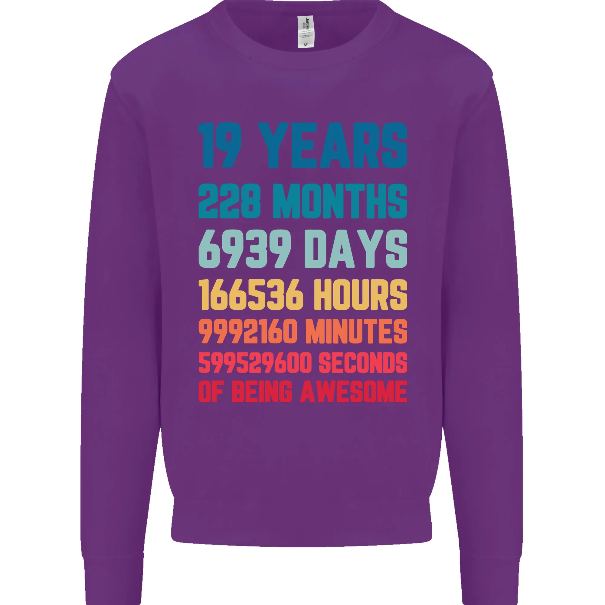 19th Birthday 19 Year Old Men's Birthday Celebration Sweatshirt Jumper