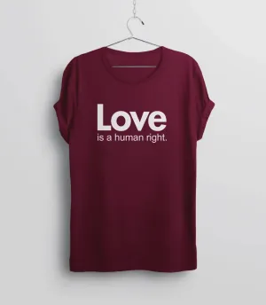 Love is Love Shirt | valentines day lgbt shirt