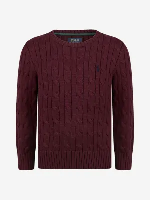 Ralph Lauren Boys Jumper
