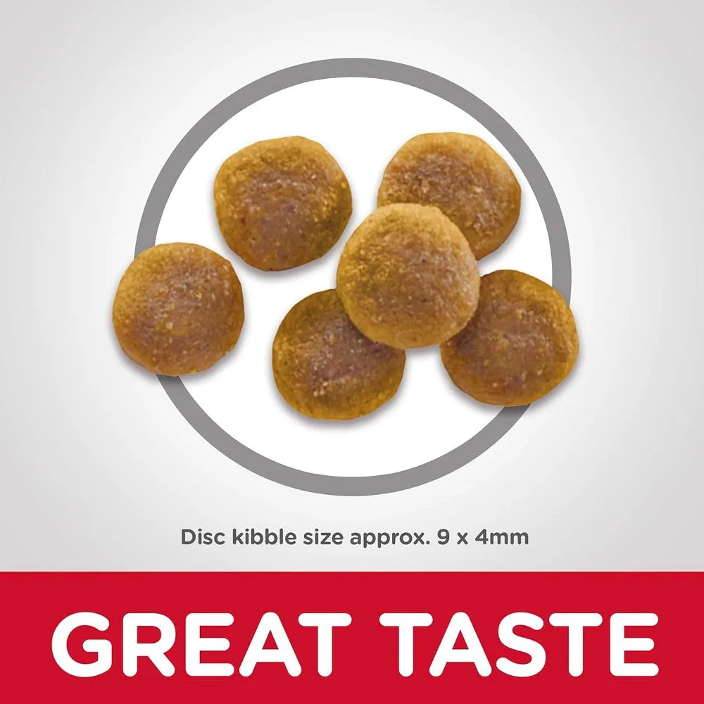 Science Diet - Everyday Diet Chicken Recipe for Adult 1-6 Cat Dry Food