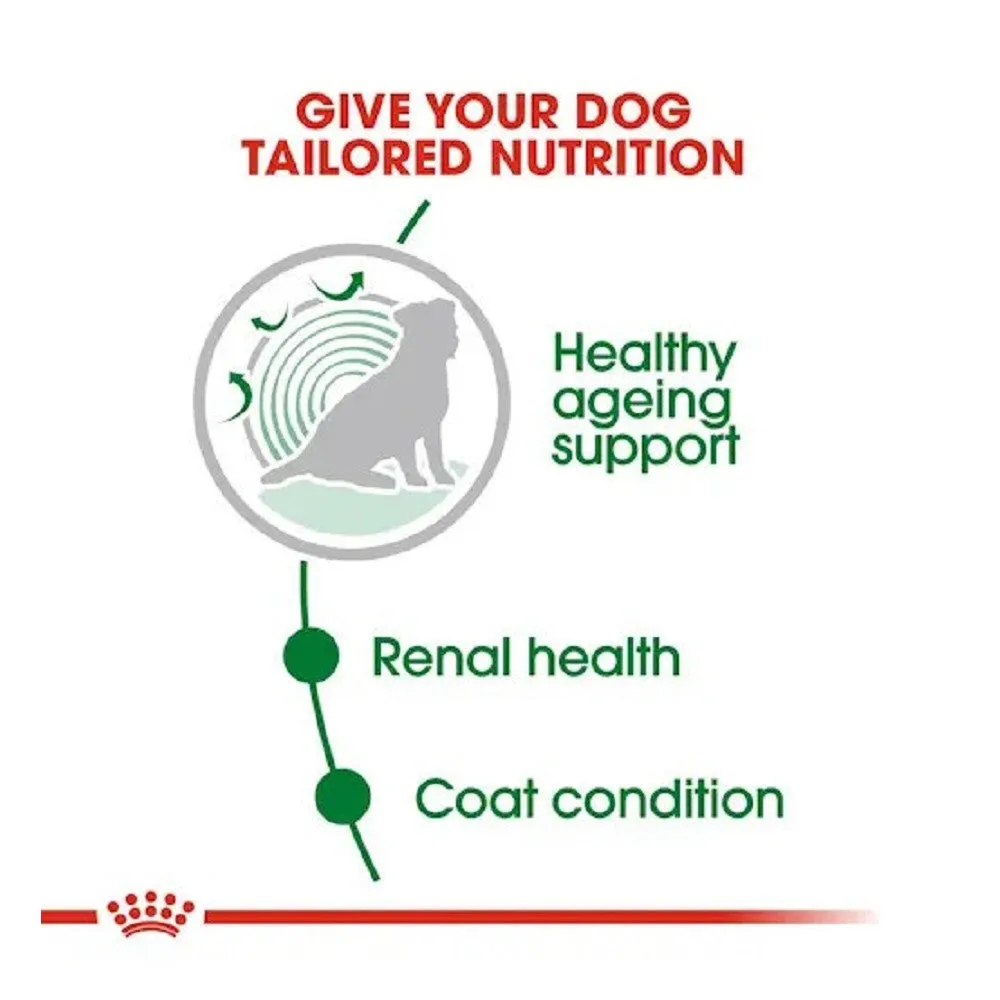 SHN Mini Ageing 12  Dog Pouch