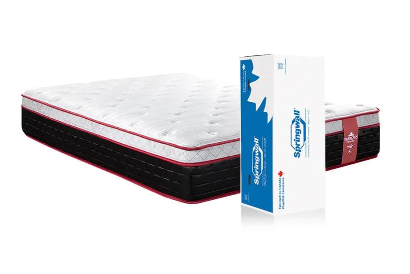 Springwall Chiropractic Pelee 13" Pocket Coil Euro Top Plush Feel